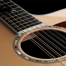 12 String Guitars