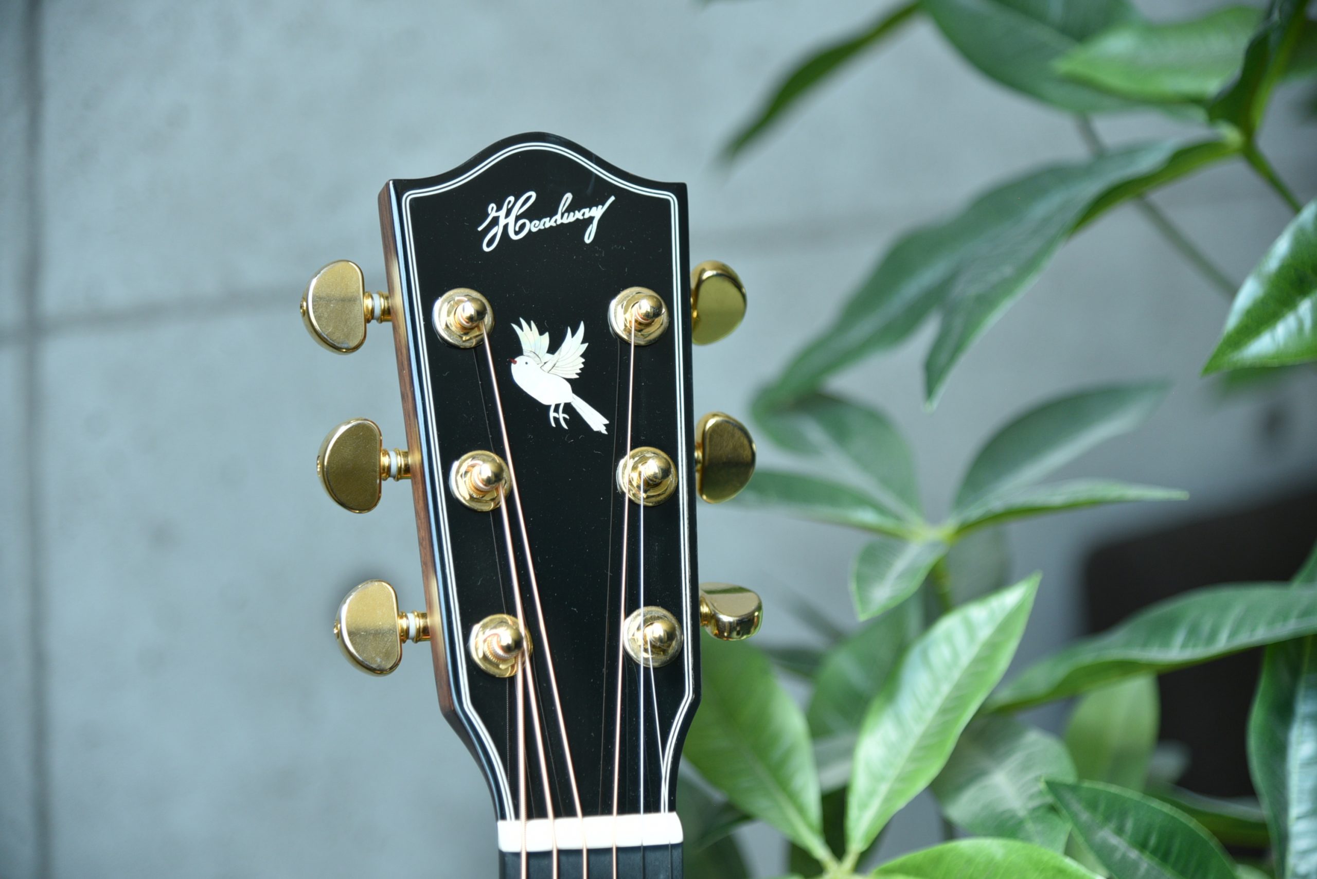 HOC-Northbird - Image 3